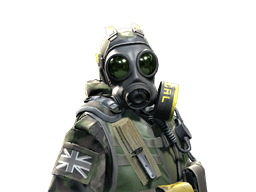 SAS skin