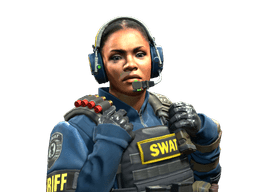 SWAT skin