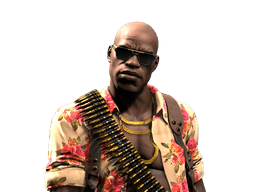 Guerrilla Warfare skin